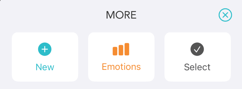 MoreSelect.png